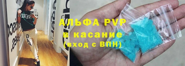 сатива Беломорск