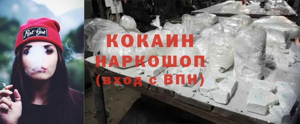 сатива Беломорск