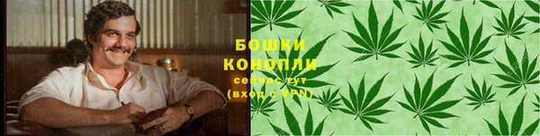 винт Белокуриха