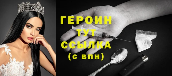 сатива Беломорск