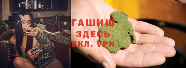 сатива Беломорск