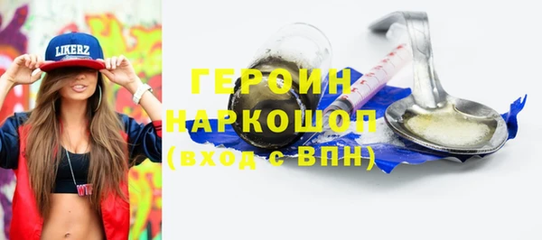 сатива Беломорск