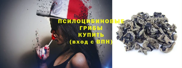 винт Белокуриха