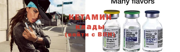 сатива Беломорск
