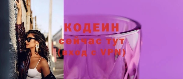 сатива Беломорск