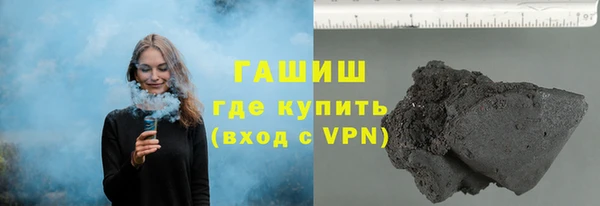 сатива Беломорск