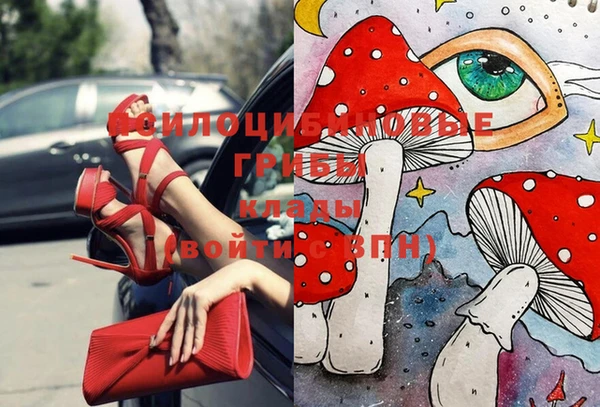 винт Белокуриха