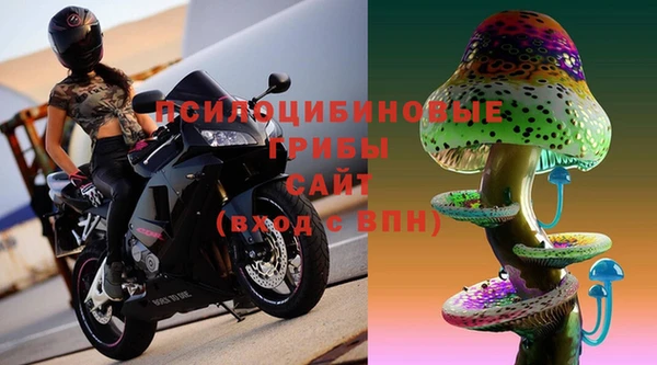 сатива Беломорск