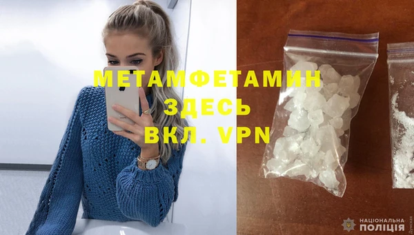 сатива Беломорск