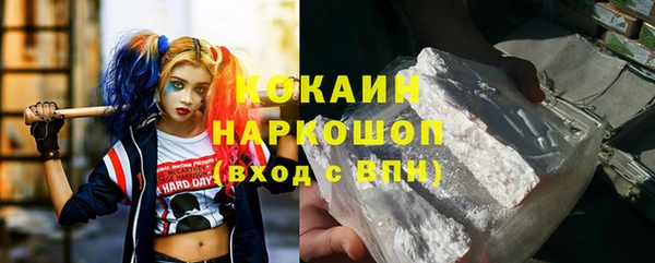 сатива Беломорск